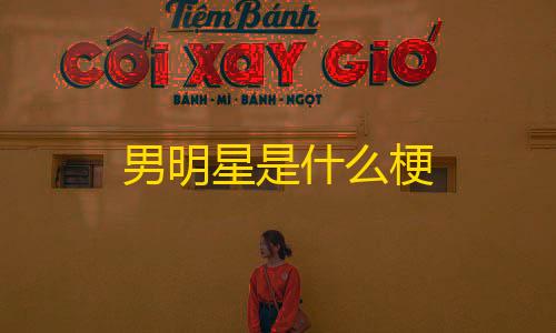 火影科技开挂器(免费)男明星是什么梗